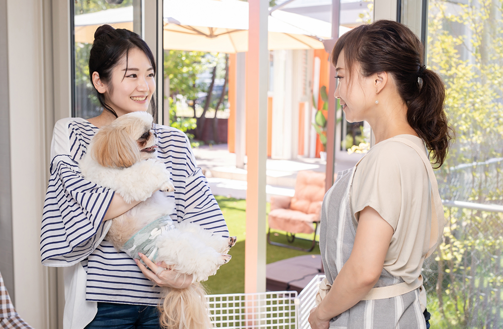 カウンセリング