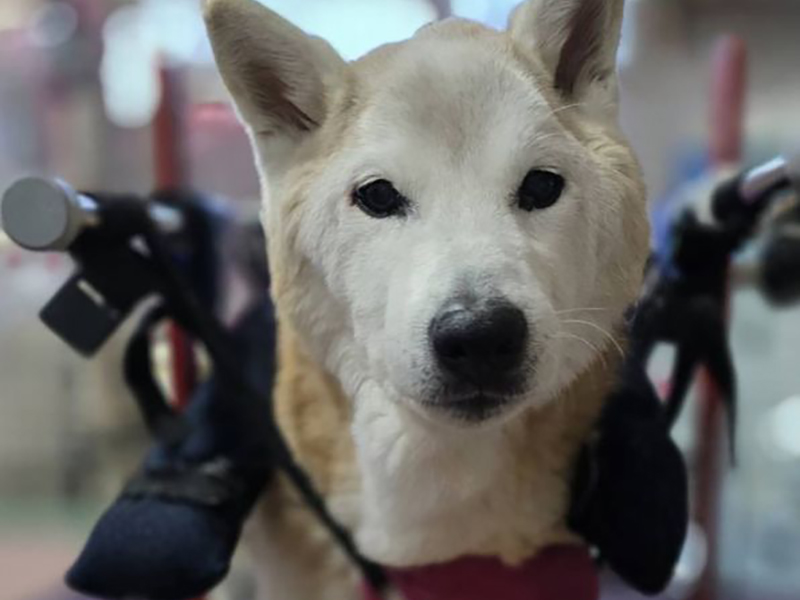 ようこそ ケンちゃん