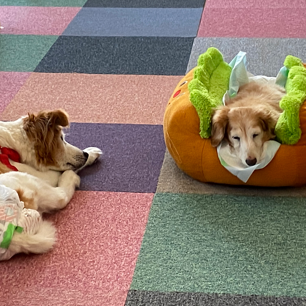 落ち着いて過ごせる環境