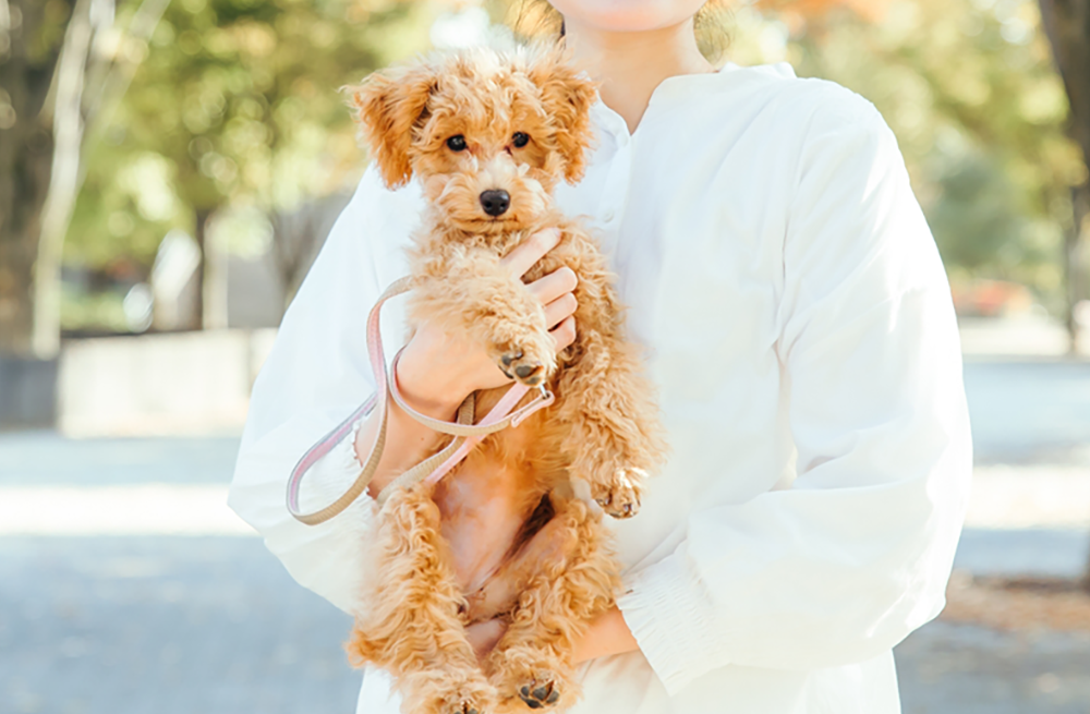 飼い主さまの気持ちに寄り添って