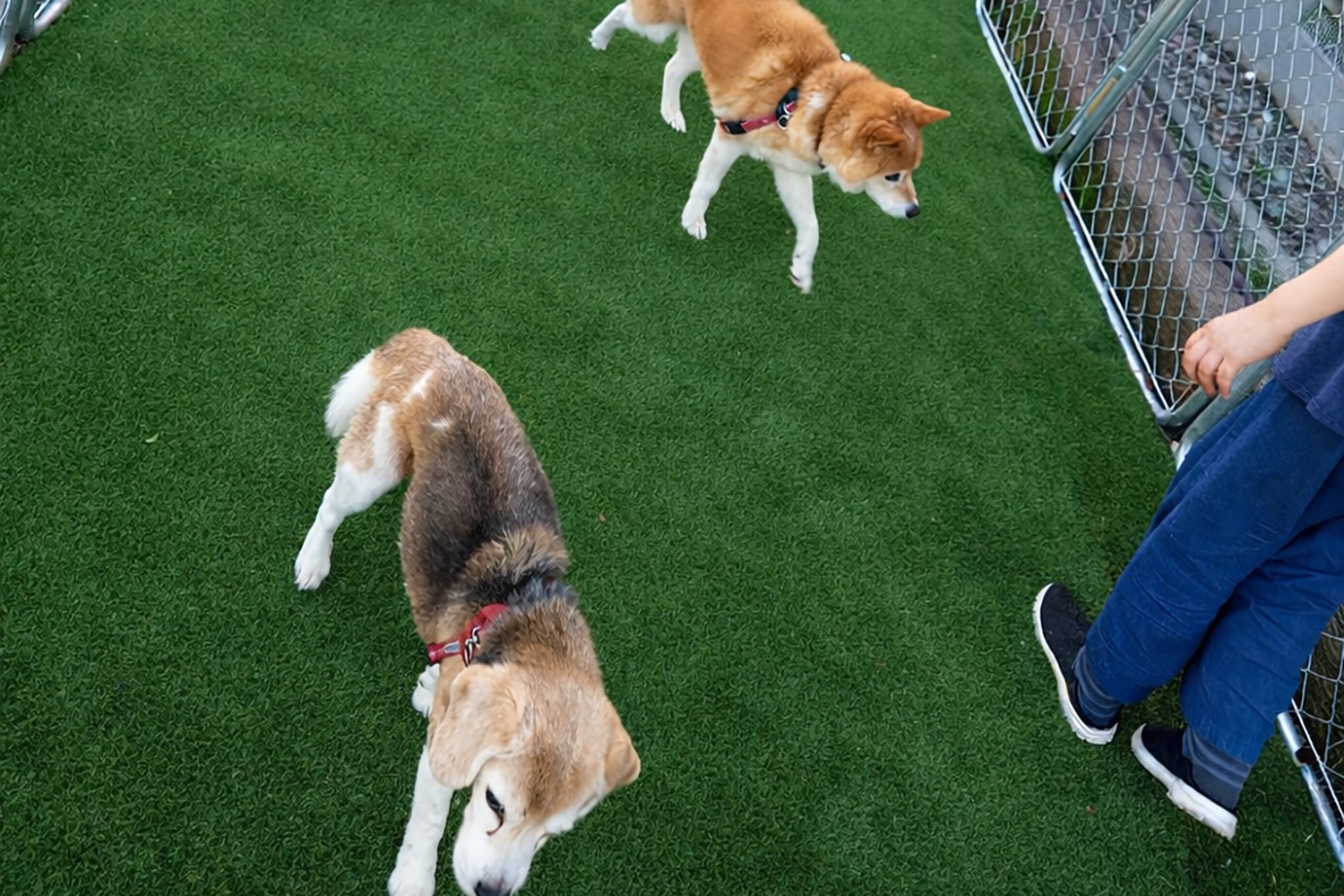 STEP3 お預かり開始