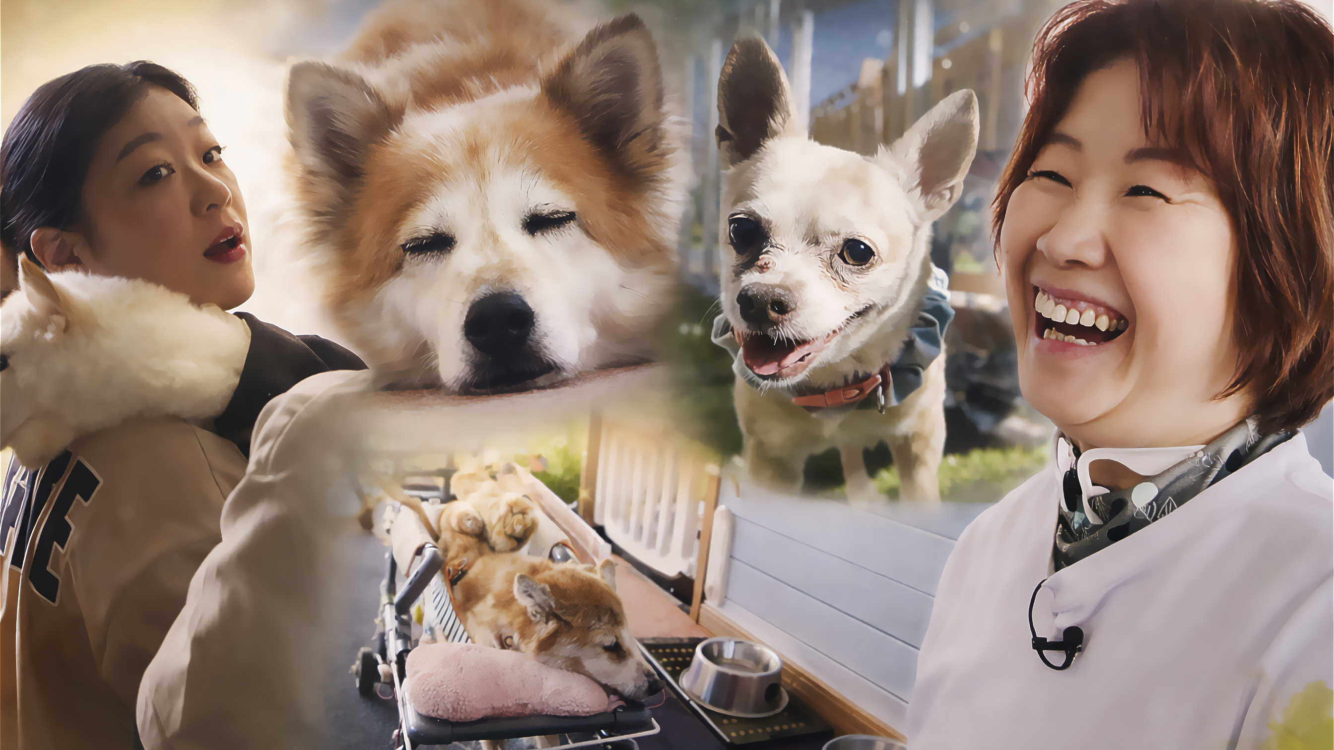 介護に等級をつけていませんのでどんな状況でも安心