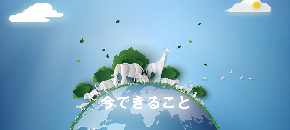 アニマルエンカウンター結