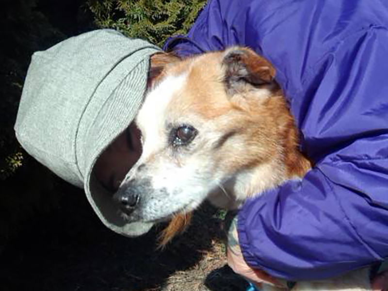 今まで保護した動物の画像