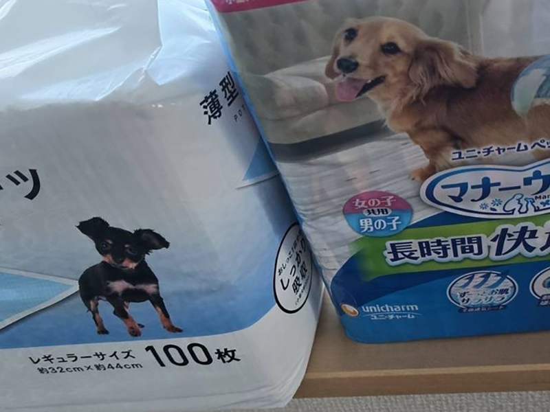 支援してもらった物の画像