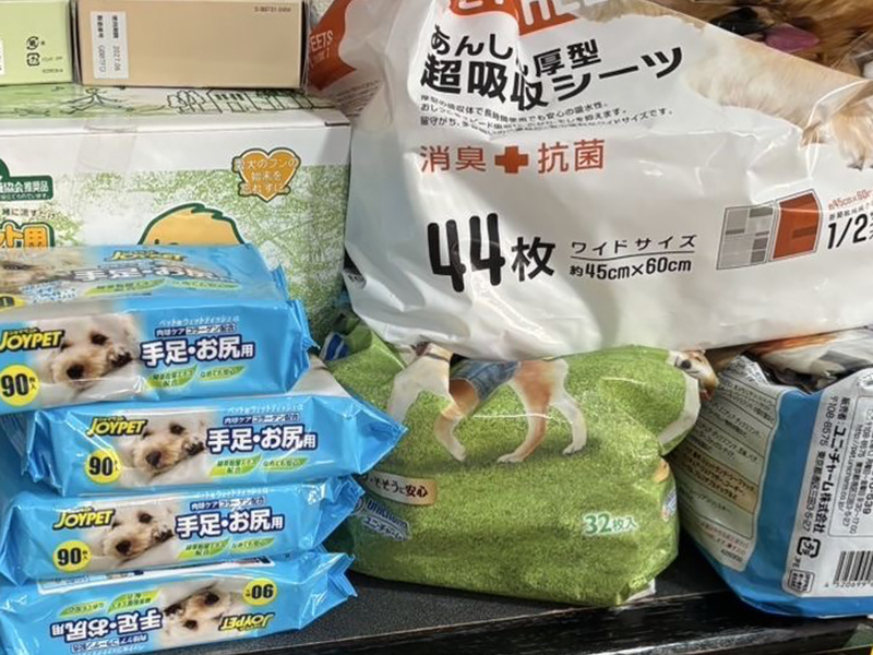 支援してもらった物の画像