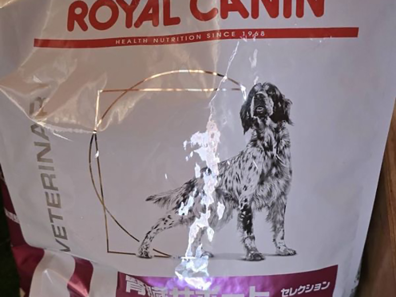 支援してもらった物の画像