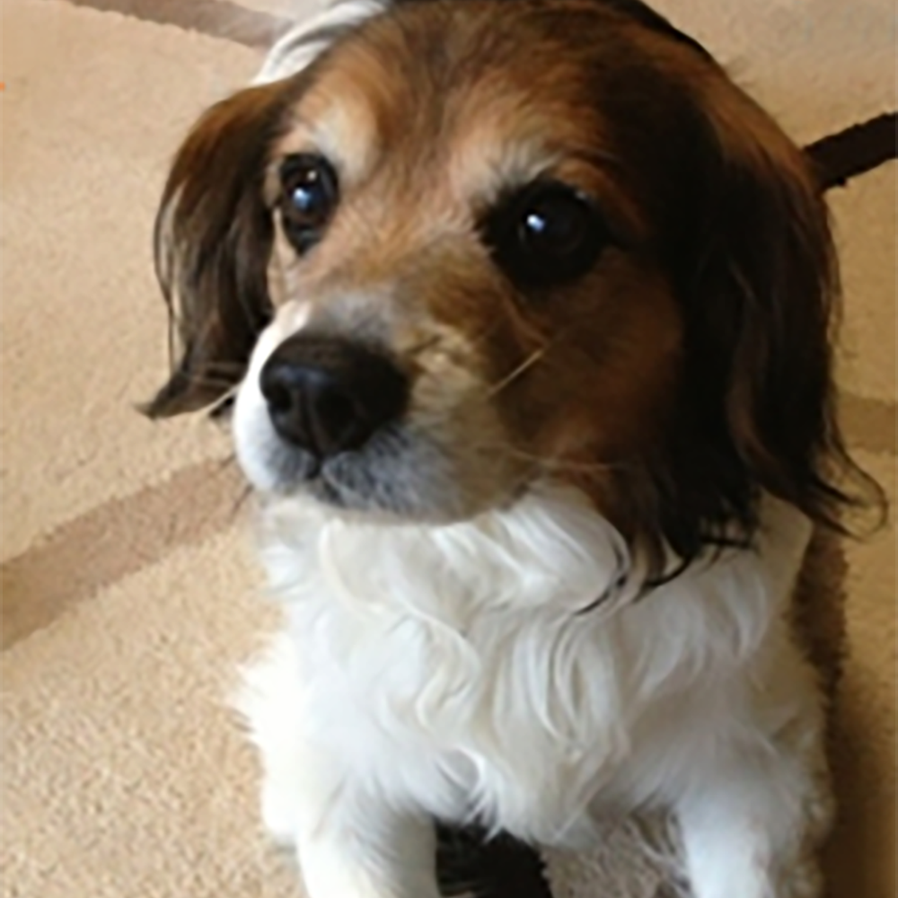 小樽市 佐伯様【ミックス キャバ 13歳 】ホテルプラン